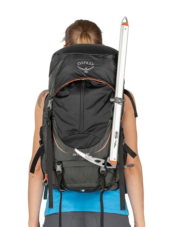 Sirrus 36 (Women's)